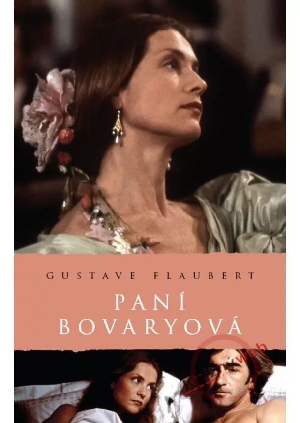 Gustave Flaubert - Paní Bovaryová