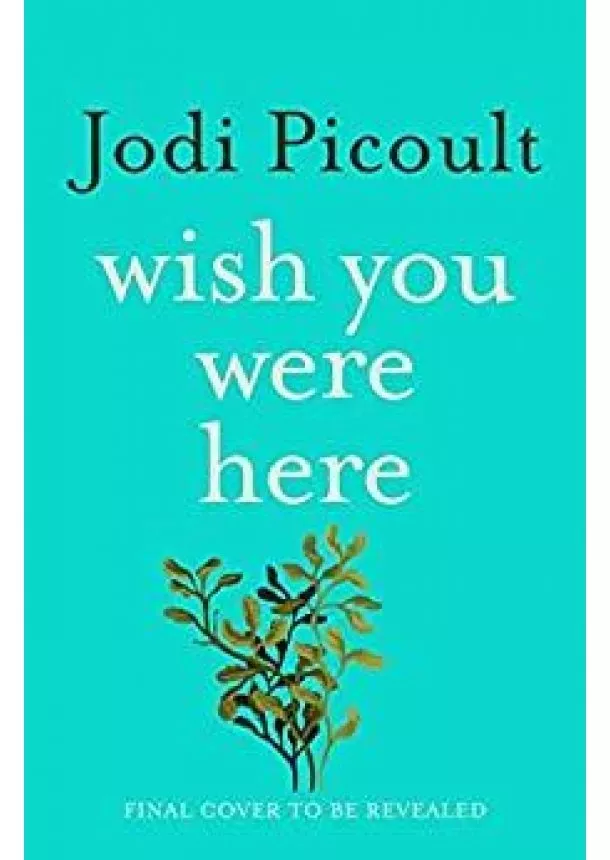 Jodi Picoult - Wish You Were Here