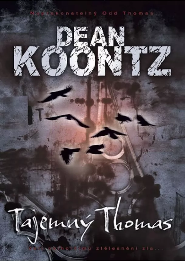 Dean Koontz - Tajemný Thomas