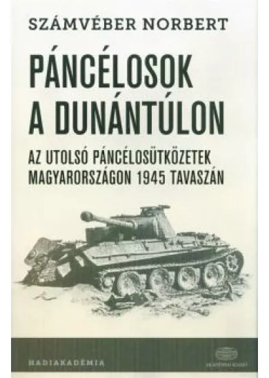 Páncélosok a Dunántúlon /Az utolsó páncélosütközetek Magyarországon 1945 tavaszán