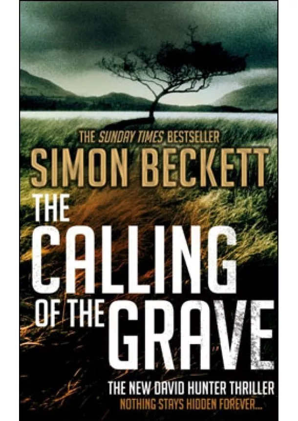 Simon Beckett - Calling of the Grave