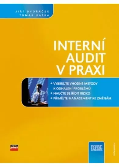 Interní audit v praxi