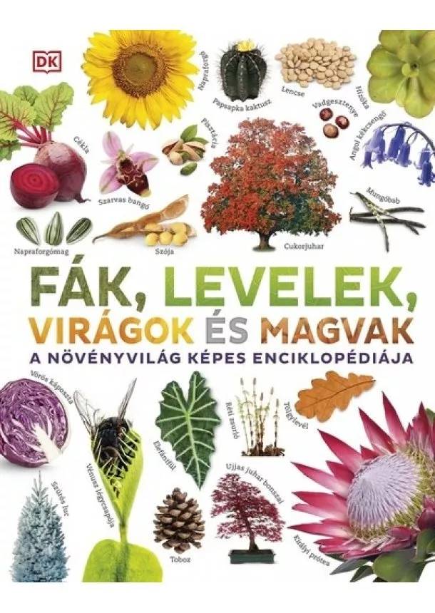 dr. Sarah Jose - Fák, levelek, virágok és magvak - A növényvilág képes enciklopédiája