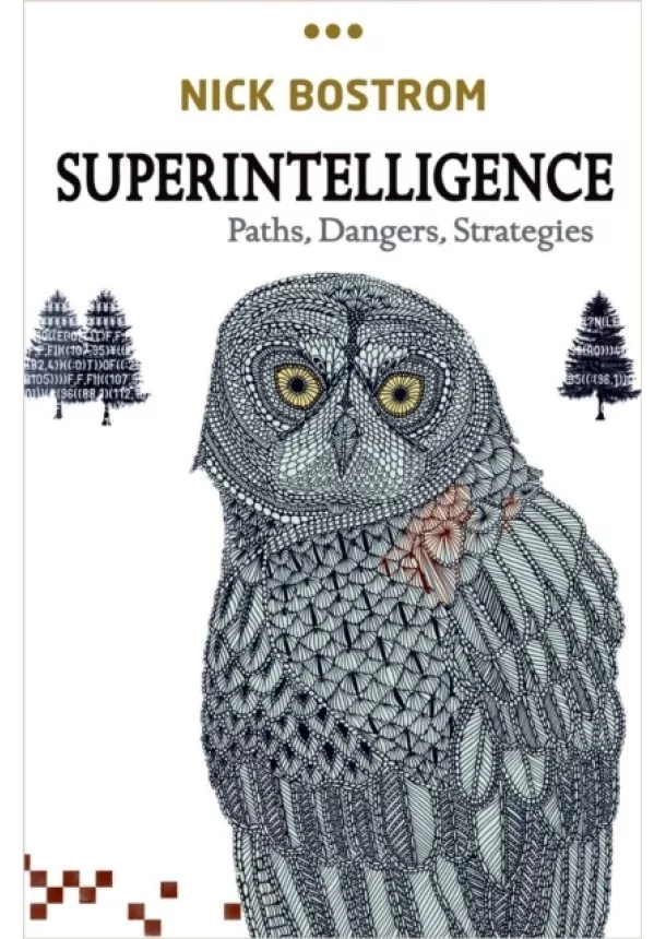 Nick (Professor in the Faculty of Philosophy & Oxford Martin School and Director, Future of Humanity Institute, University of Oxford) Bostrom - Superintelligence : Paths, Dangers, Strategies