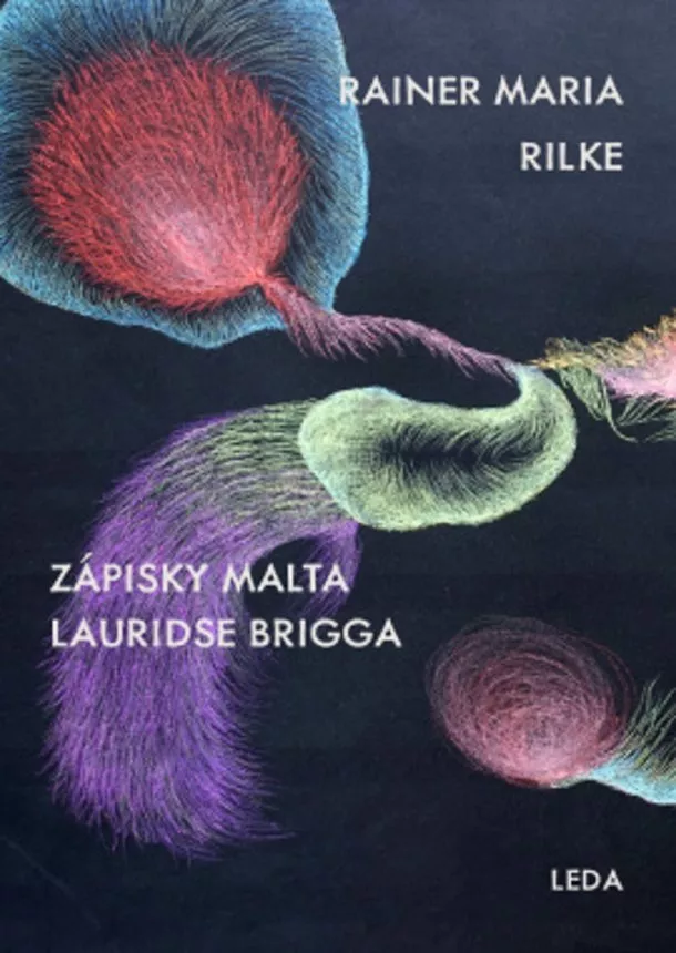 Rainer Maria Rilke - Zápisky Malta Lauridse Brigga