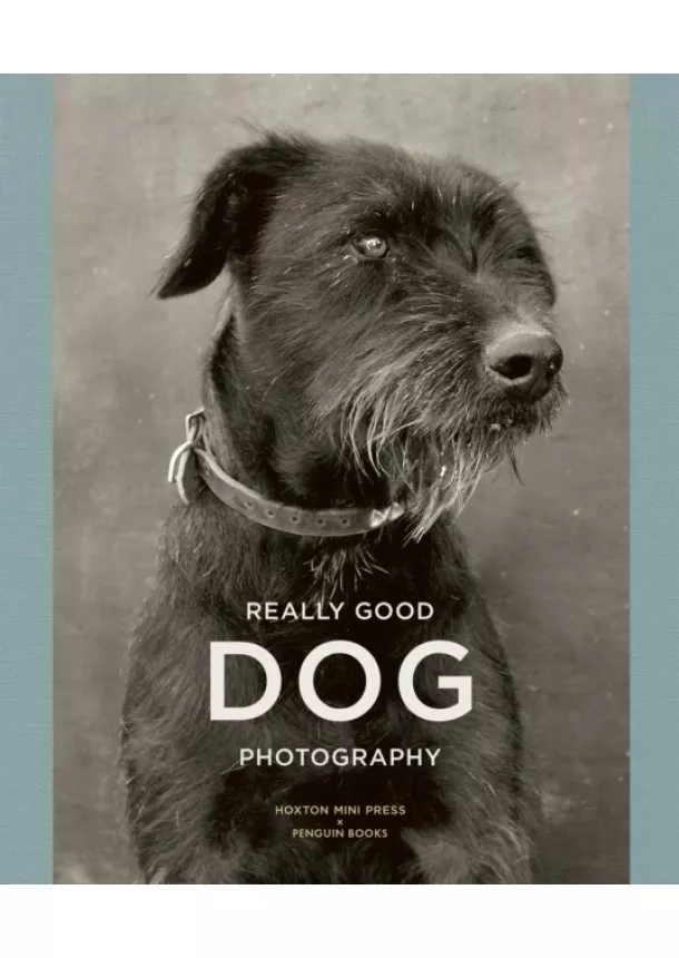 Lucy Davies, Hoxton Mini Press,  Penguin Books - Really Good Dog Photography