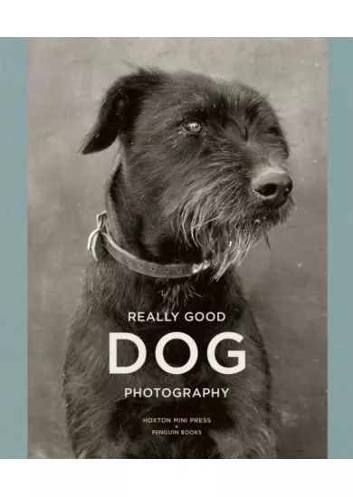 Really Good Dog Photography