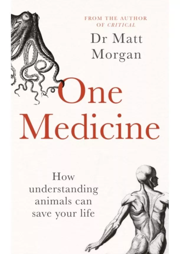 Dr Matt Morgan - One Medicine