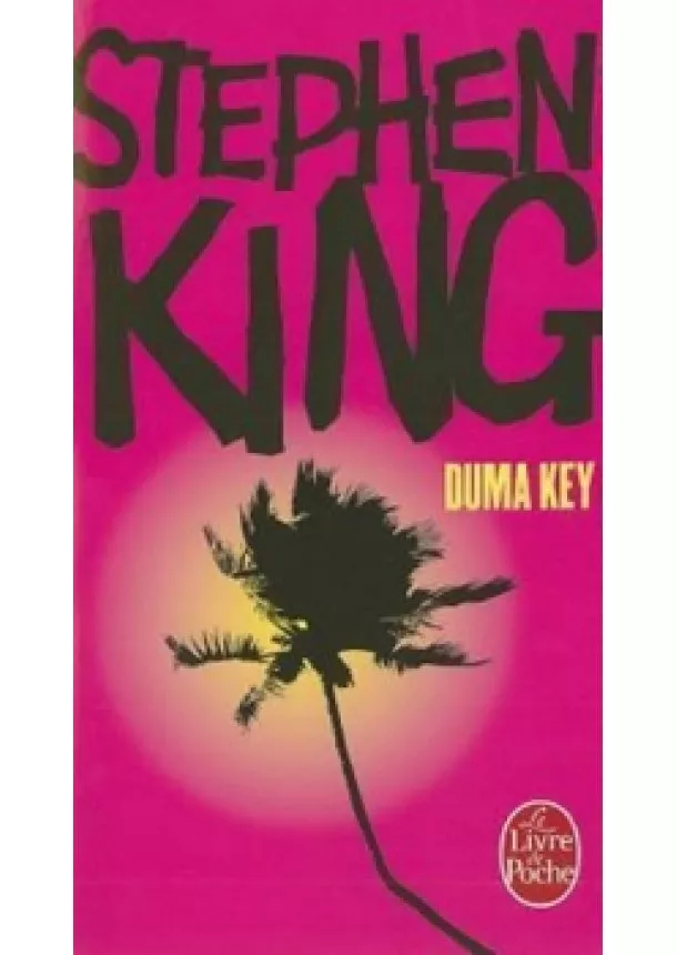 Stephen King - Duma Key