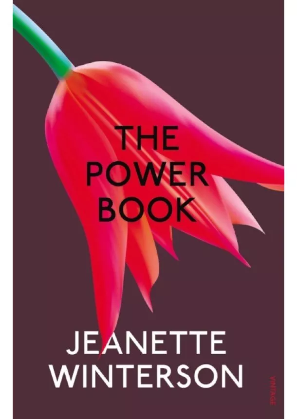 Jeanette Winterson - The Powerbook