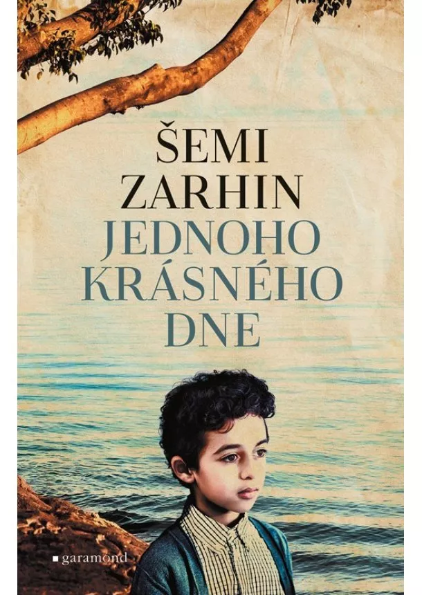 Šemi Zarhin - Jednoho krásného dne