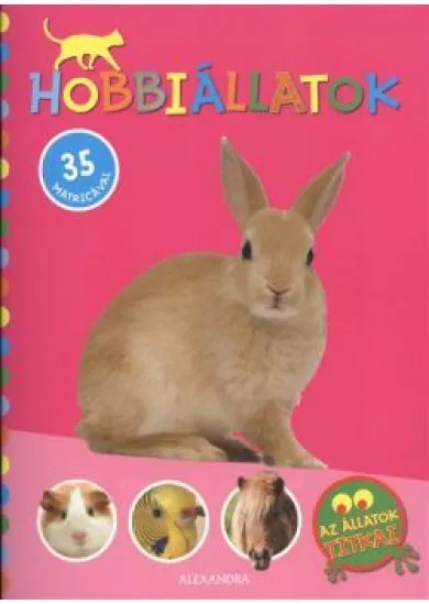 HOBBIÁLLATOK