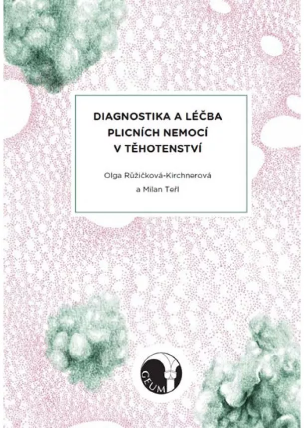 Olga Růžičková Kirchnerová, Milan Teřl - Diagnostika a léčba plicních nemocí v těhotenství