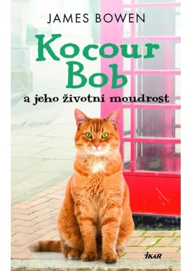 Kocour Bob a jeho životní moudrost