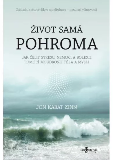 Život samá pohroma - Jak čelit stresu, nemoci a bolesti pomocí moudrosti těla a mysli