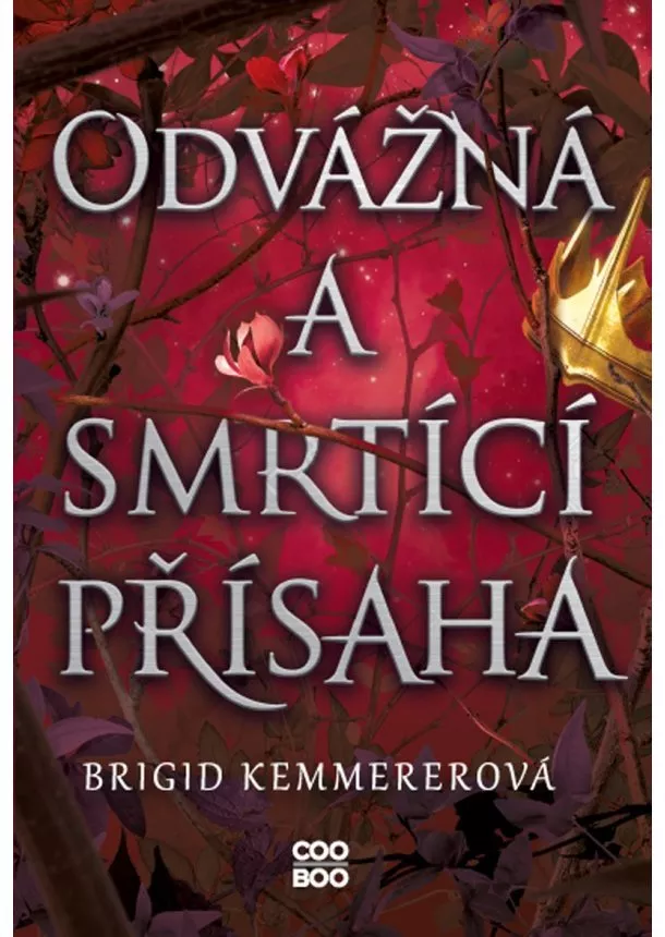 Brigid Kemmererová - Odvážná a smrtící přísaha