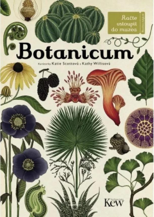 Jenny Broomová - Botanicum