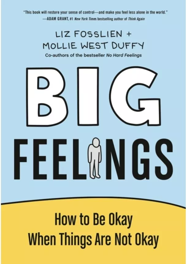 Liz Fosslien, Mollie West Duffy - Big Feelings