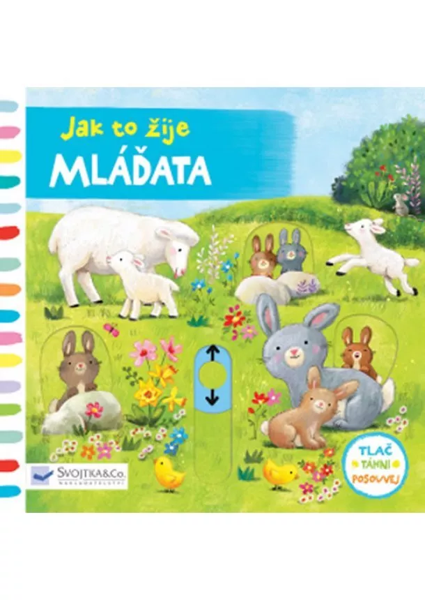 Ag Jatkowska - Mláďata - Jak to žije