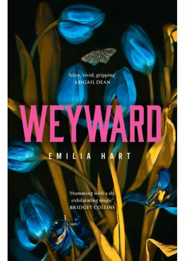 Emilia Hart - Weyward