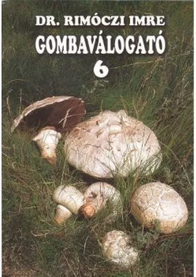 GOMBAVÁLOGATÓ 6.