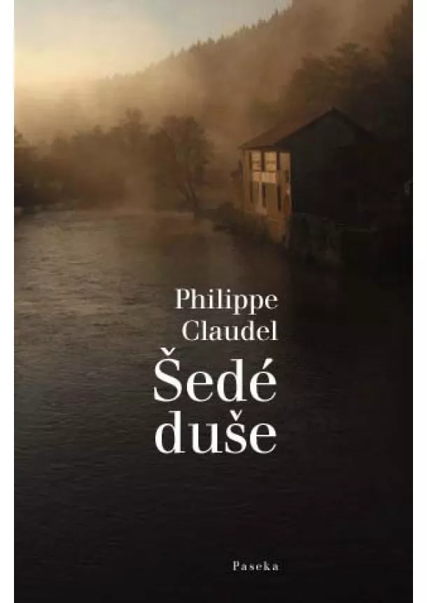 Philippe Claudel  - Šedé duše