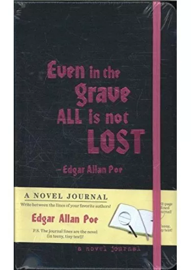 Novel Journal: Edgar Allan Poe