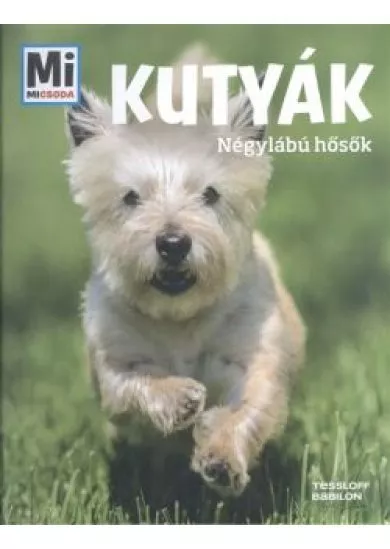 Kutyák - Négylábú hősök /Mi Micsoda