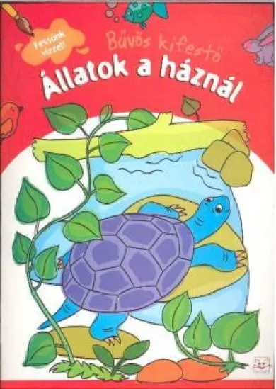 Állatok a háznál /Bűvös kifestő