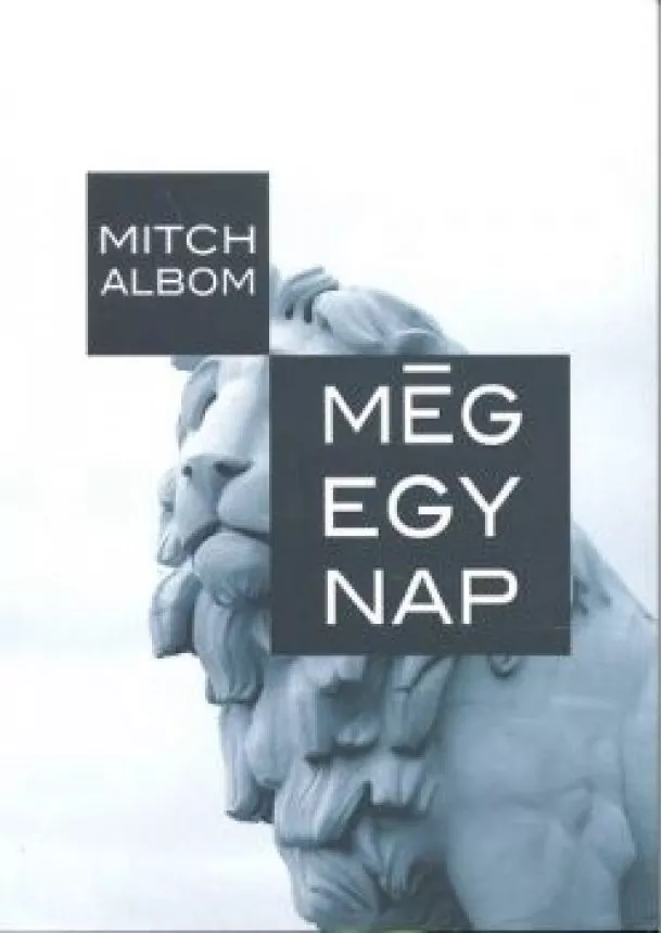 MITCH ALBOM - MÉG EGY NAP