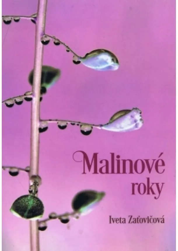 Iveta Zaťovičová - Malinové roky