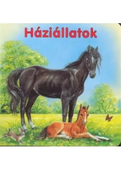 Háziállatok