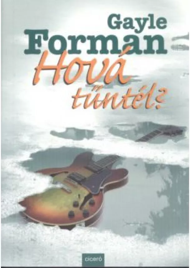 Gayle Forman - HOVÁ TŰNTÉL?