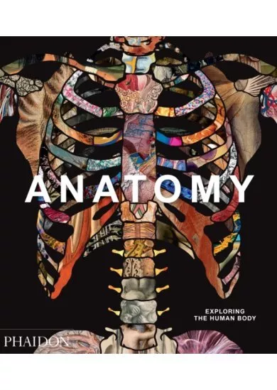 Anatomy