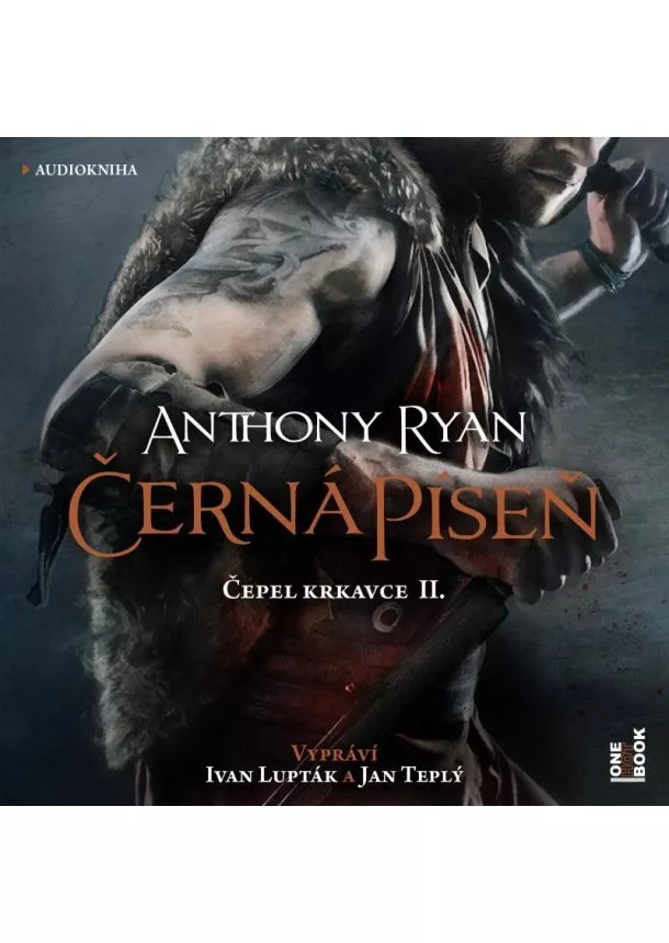 Anthony Ryan - Černá píseň