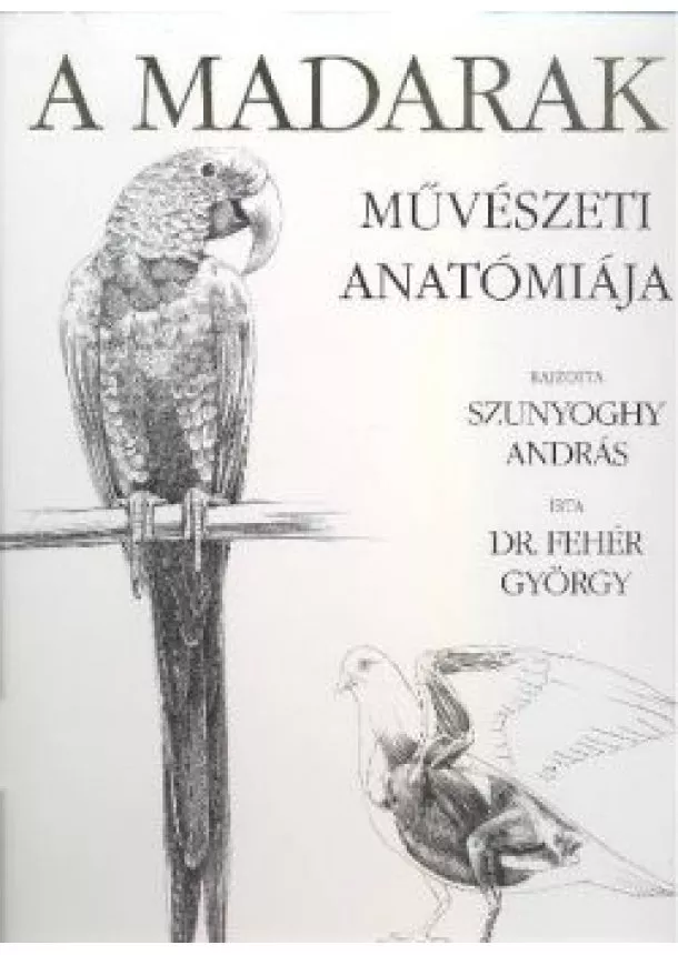 DR. FEHÉR GYÖRGY - A MADARAK MŰVÉSZETI ANATÓMIÁJA