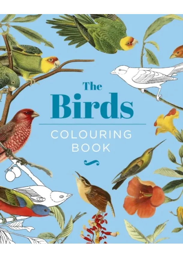 Peter Gray - The Birds Colouring Book