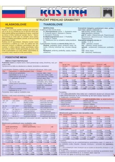 Ruština - stručný prehľad gramatiky