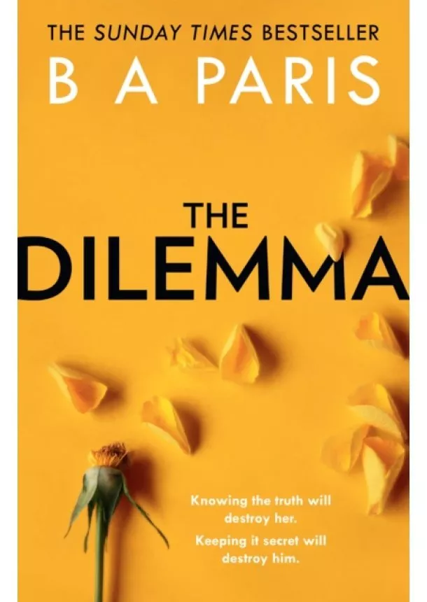 B A Paris - The Dilemma