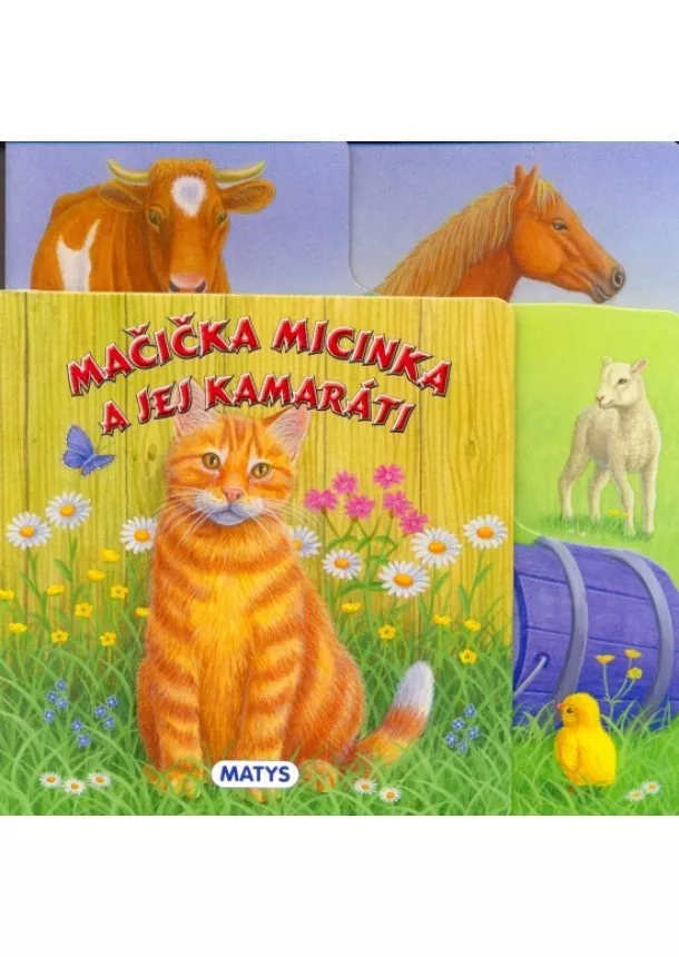 Kolektív autorov - Mačička Micinka a jej kamaráti