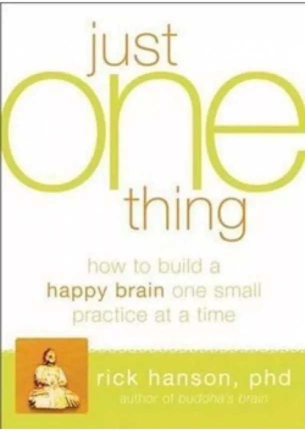 Rick Hanson - Just One Thing: Developing A Buddha Brain One Simple Practice at a Time