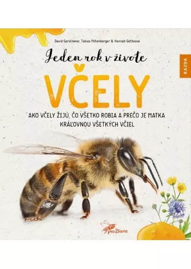 Jeden rok v živote včely - Ako včely žijú, čo všetko robia a prečo je matka kráľovnou všetkých včiel