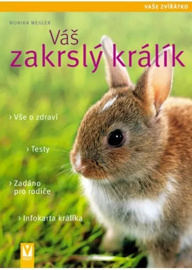 Váš zakrslý králík - Vaše zvířátko