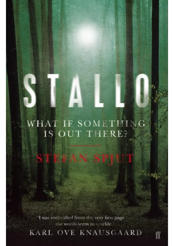 Stefan Spjut - Stallo