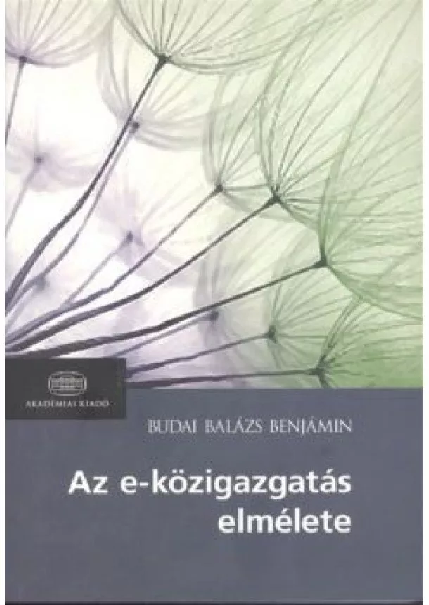 BUDAI BALÁZS BENJÁMIN - AZ E-KÖZIGAZGATÁS ELMÉLETE