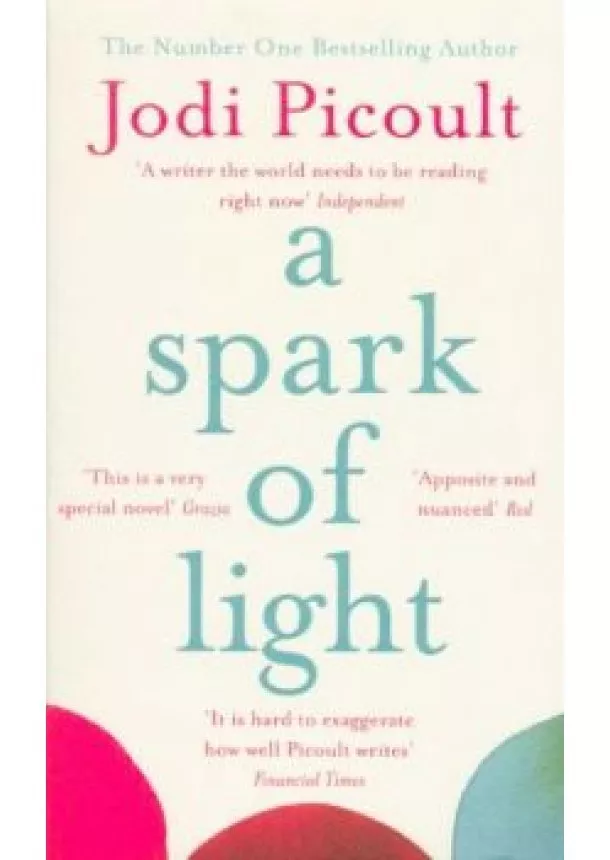 Jodi Picoult - A Spark of Light