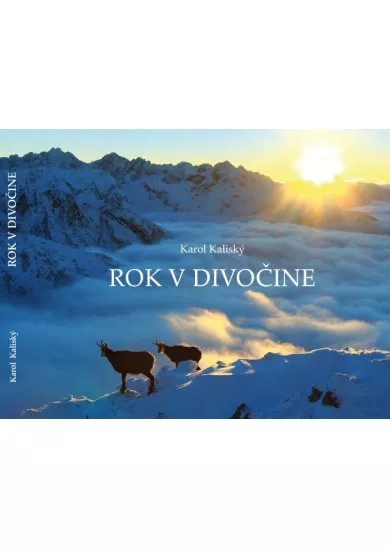 Rok v divočine