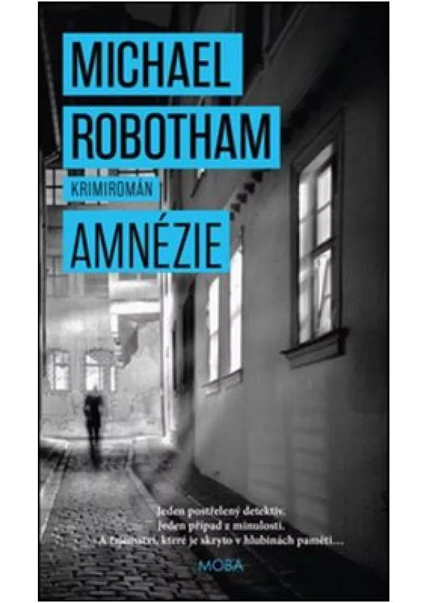 Michael Robotham - Amnézie