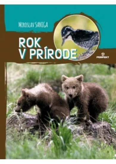 Rok v prírode