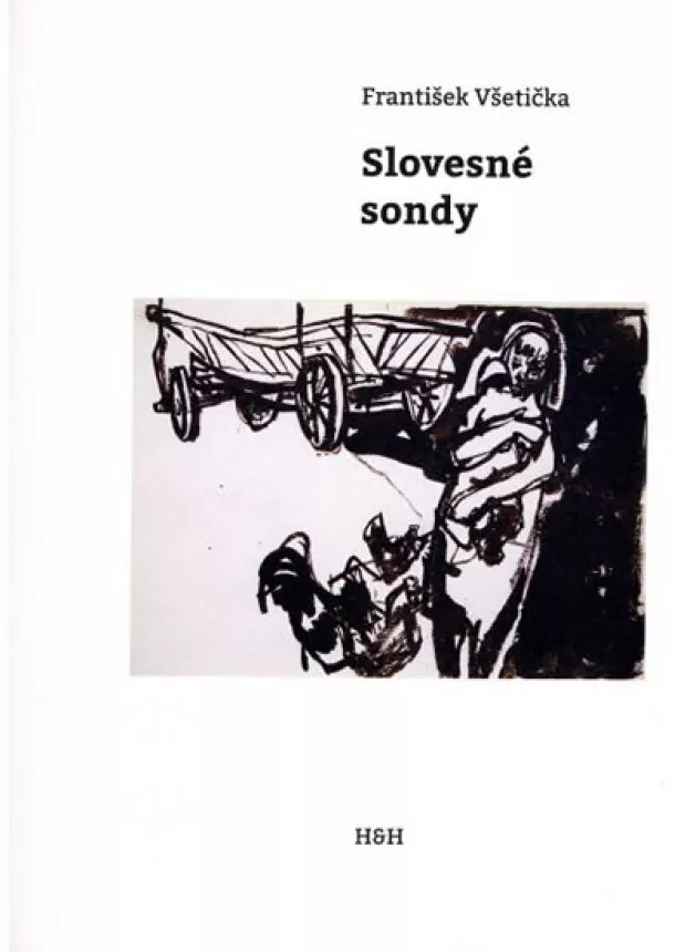 František Všetička - Slovesné sondy